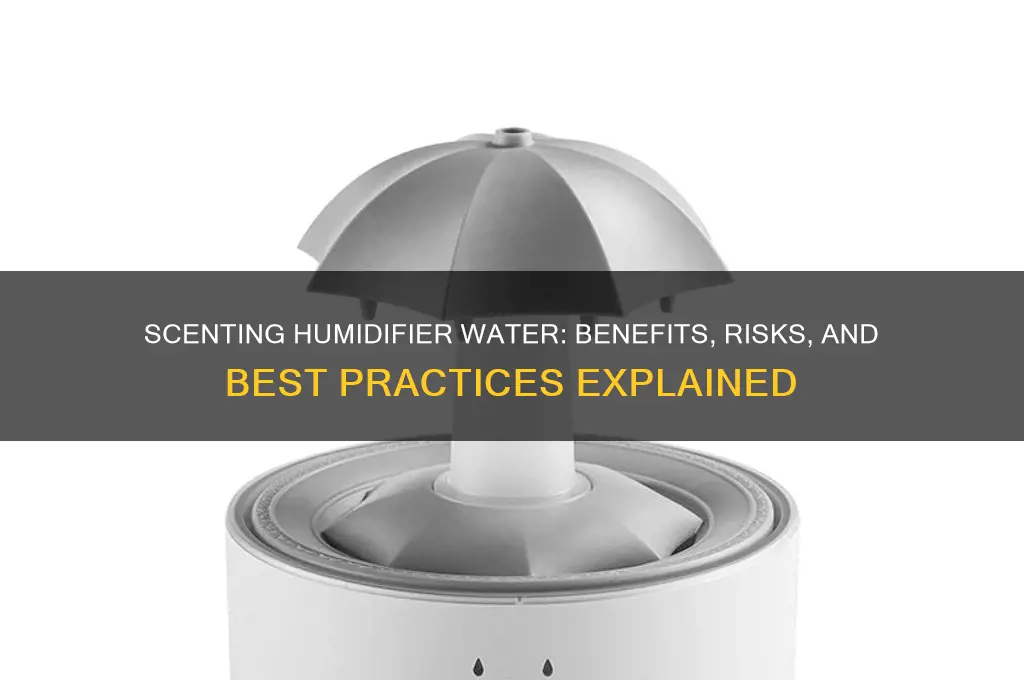 can you scent humidifier water