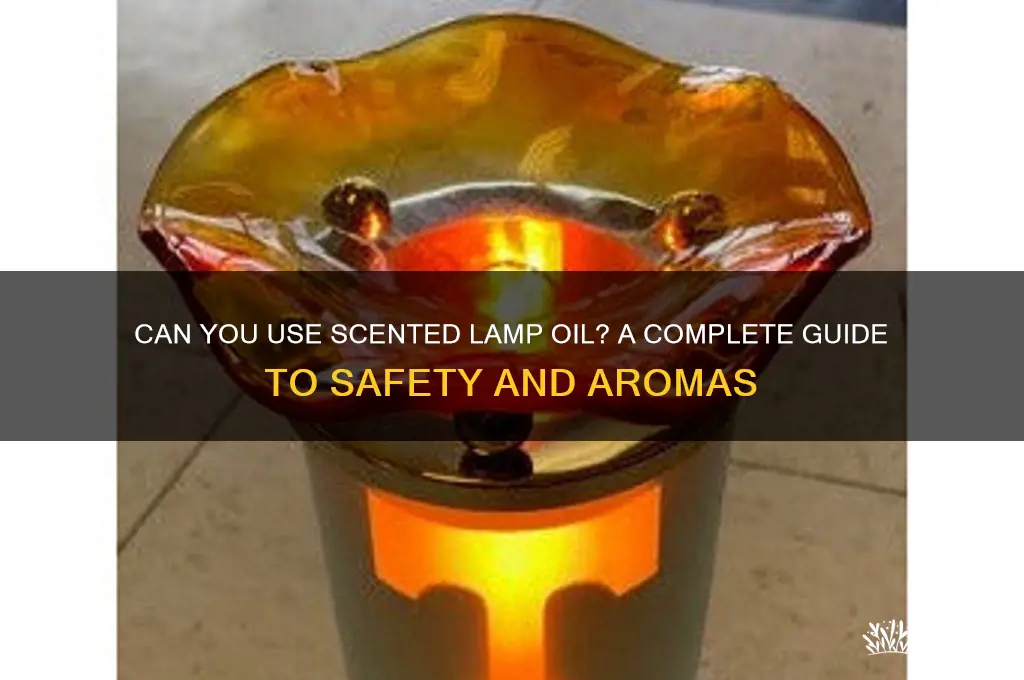 can you scented lamp oil