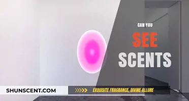 Exploring the Science Behind Seeing Scents: A Sensory Illusion