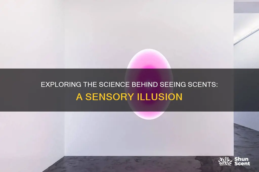 can you see scents