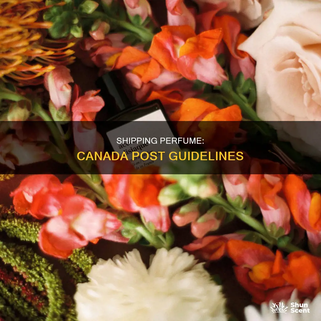 can you ship perfume canada post