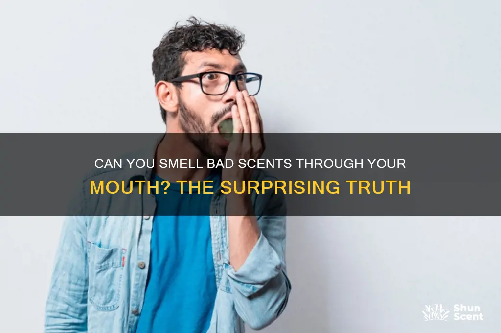 can you smell a bad scent through your mouth