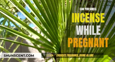 Incense and Pregnancy: Safe or Not?