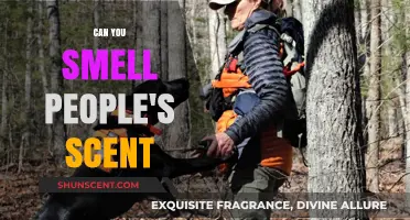 Can You Smell People's Scent? Exploring the Science of Human Odor