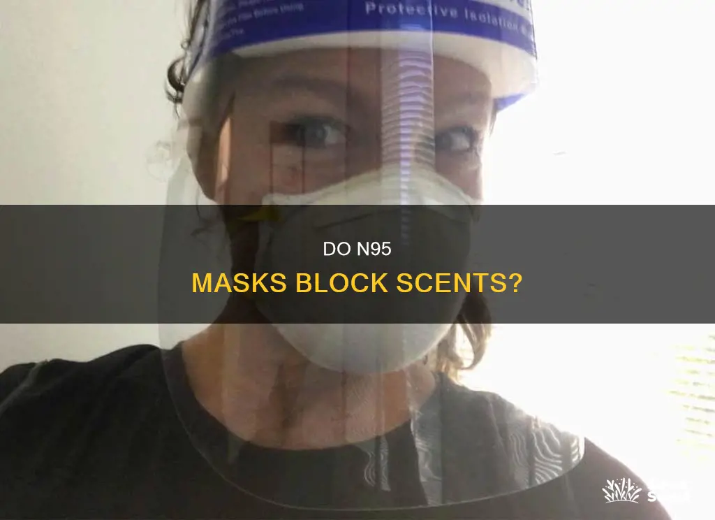 can you smell perfume through a n95 mask