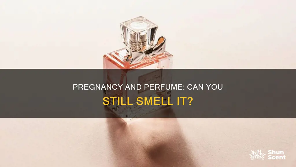 can you smell perfume while pregnant