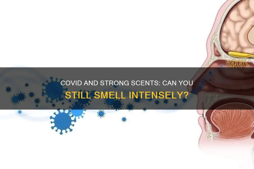 can you smell strong scents with covid
