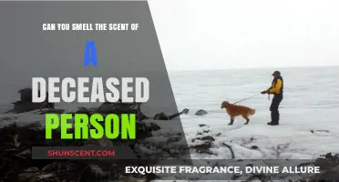 The Mysterious Scent of Death: Can We Smell the Deceased?