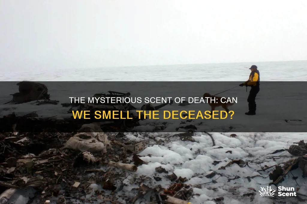 can you smell the scent of a deceased person