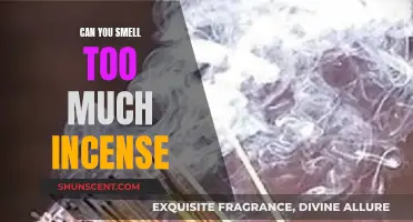Incense Overload: Are You Overdoing It?