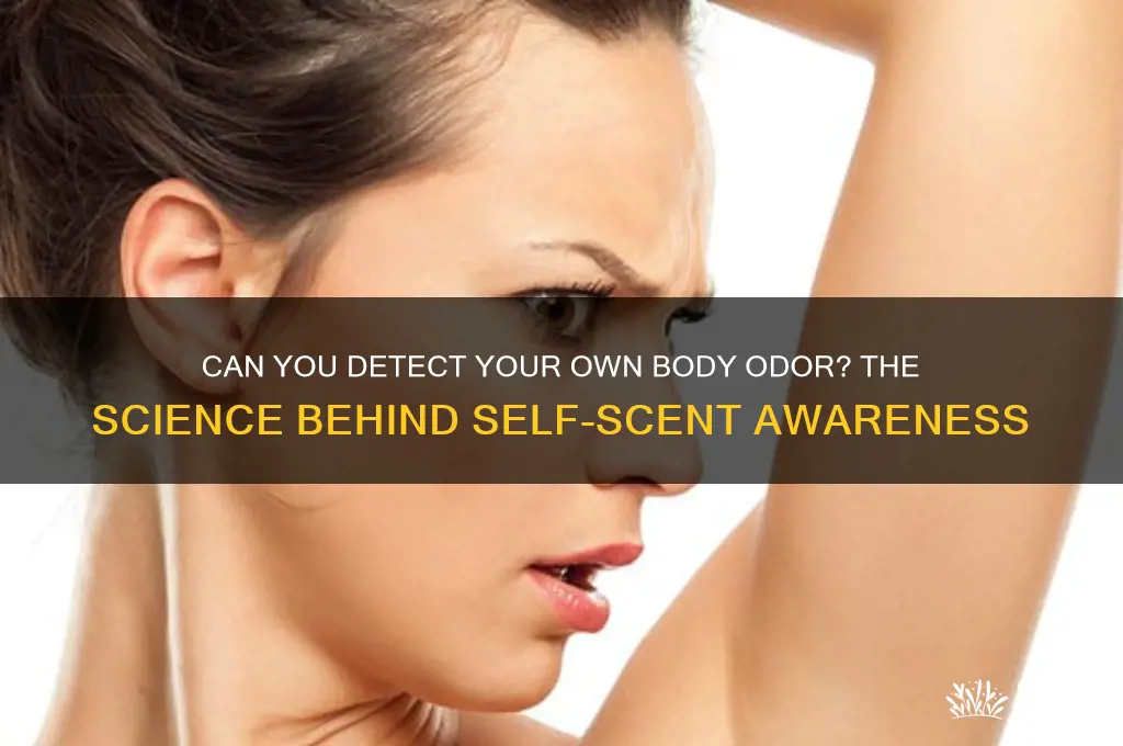 can you smell your own body scent