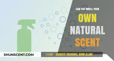 Can You Detect Your Unique Natural Scent? Exploring Self-Odor Perception