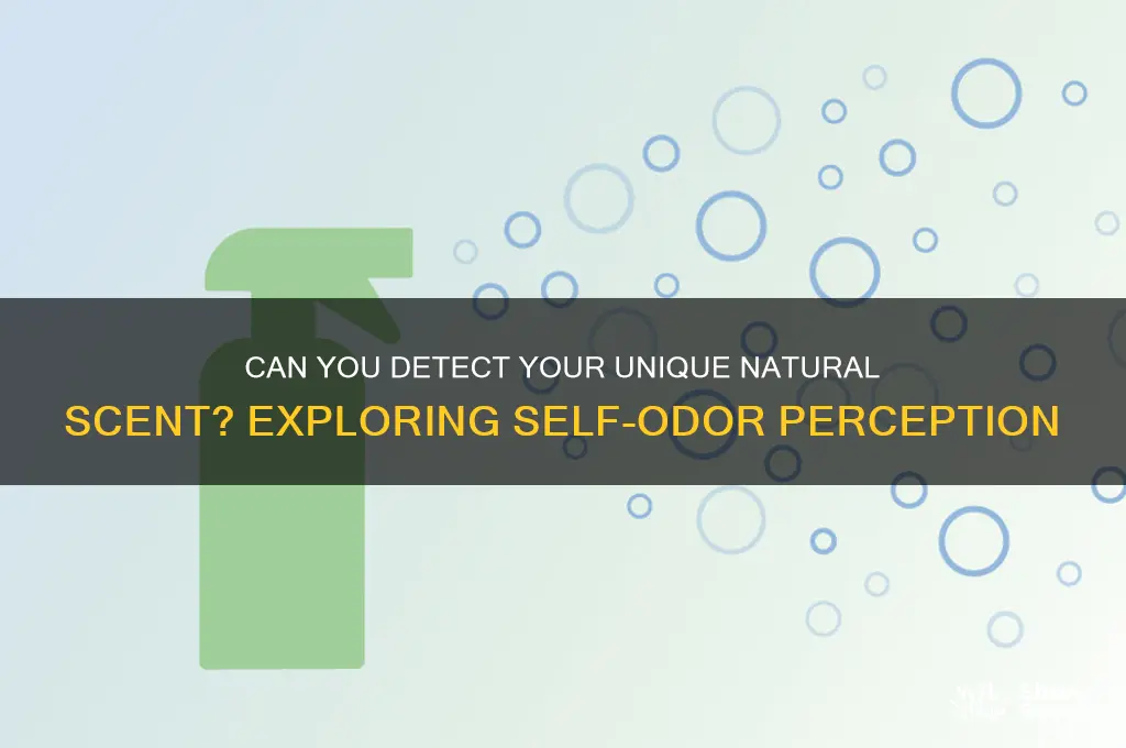 can you smell your own natural scent