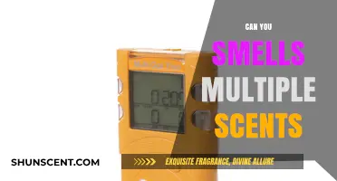 Exploring the Science Behind Detecting Multiple Scents Simultaneously