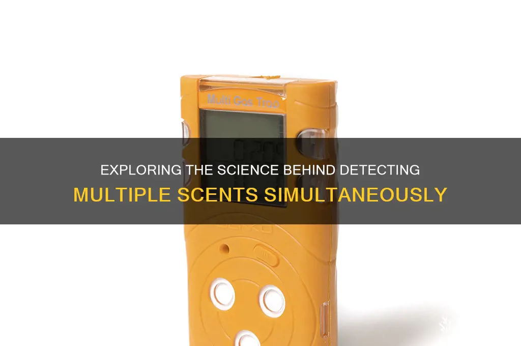 can you smells multiple scents