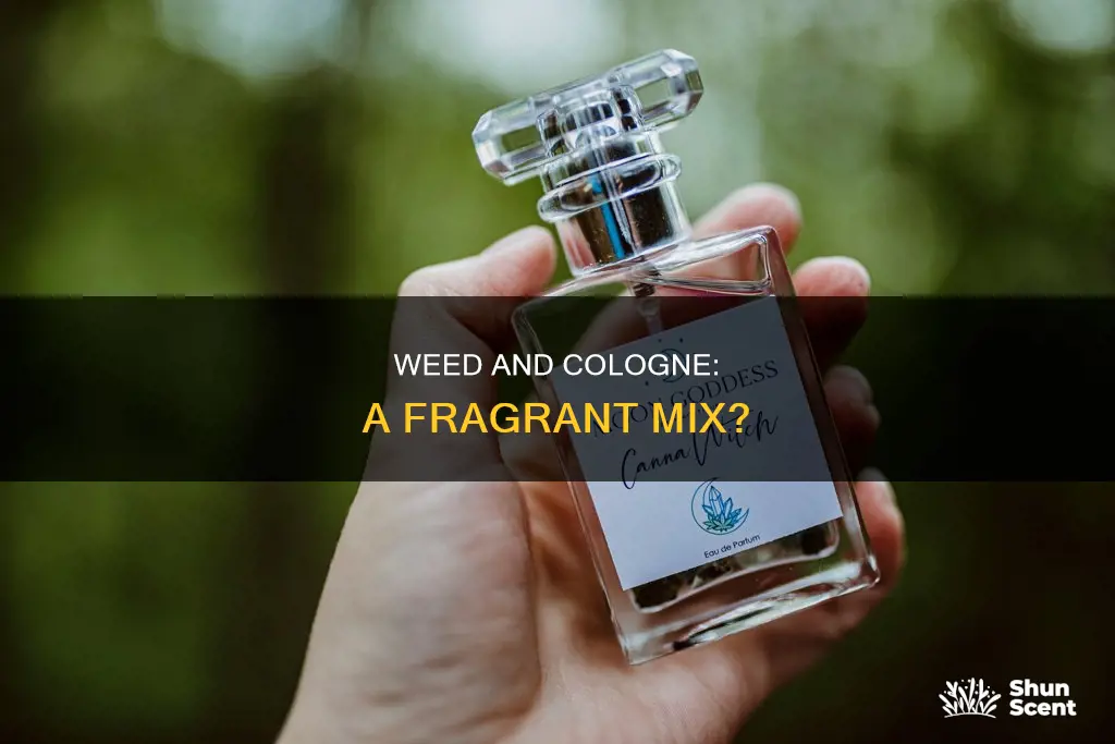 can you smoke weed with cologne in it