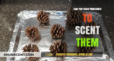 Scented Pinecones: Soaking Secrets for Fragrant Holiday Decor