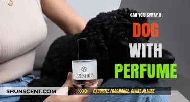 Spraying Dogs with Perfume: What You Need to Know