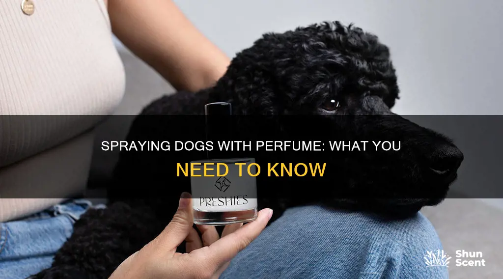 can you spray a dog with perfume
