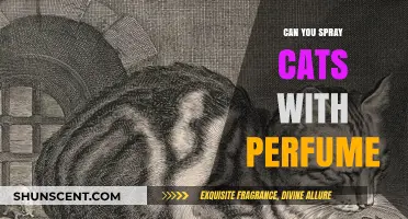 Perfumes and Cats: A Safe Combination?