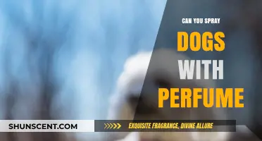 Spraying Dogs with Perfume: Is It Safe?