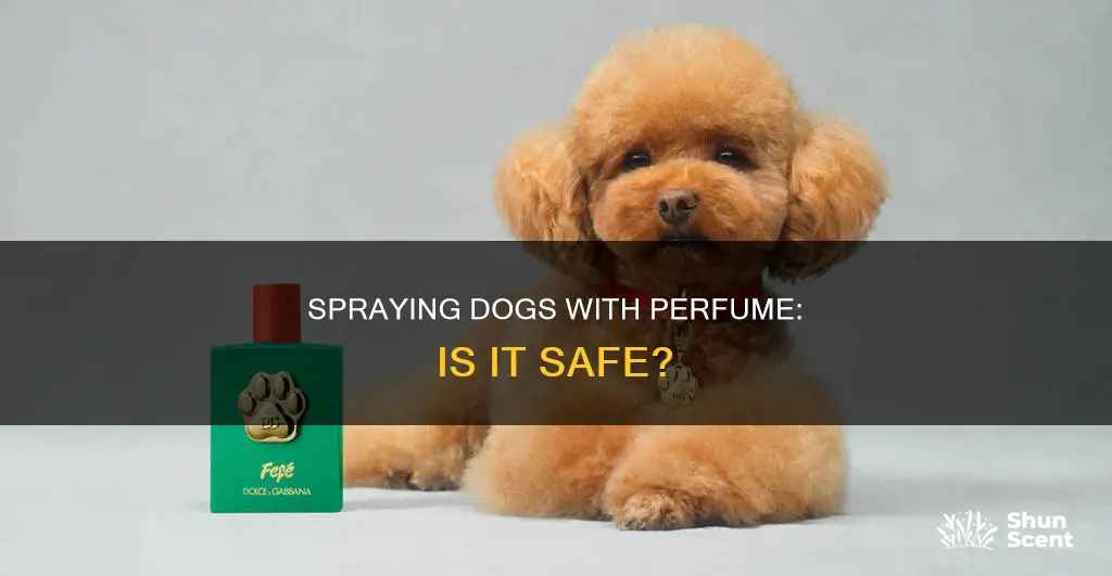 can you spray dogs with perfume
