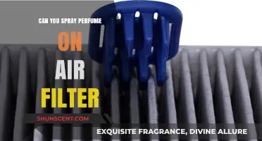 Perfuming Air Filters: Safe or Not?