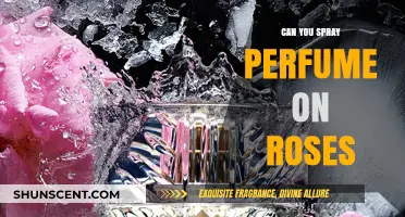 Perfuming Roses: Is It Possible?