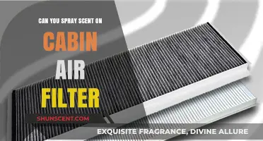 Spraying Scent on Cabin Air Filters: Benefits, Risks, and Best Practices