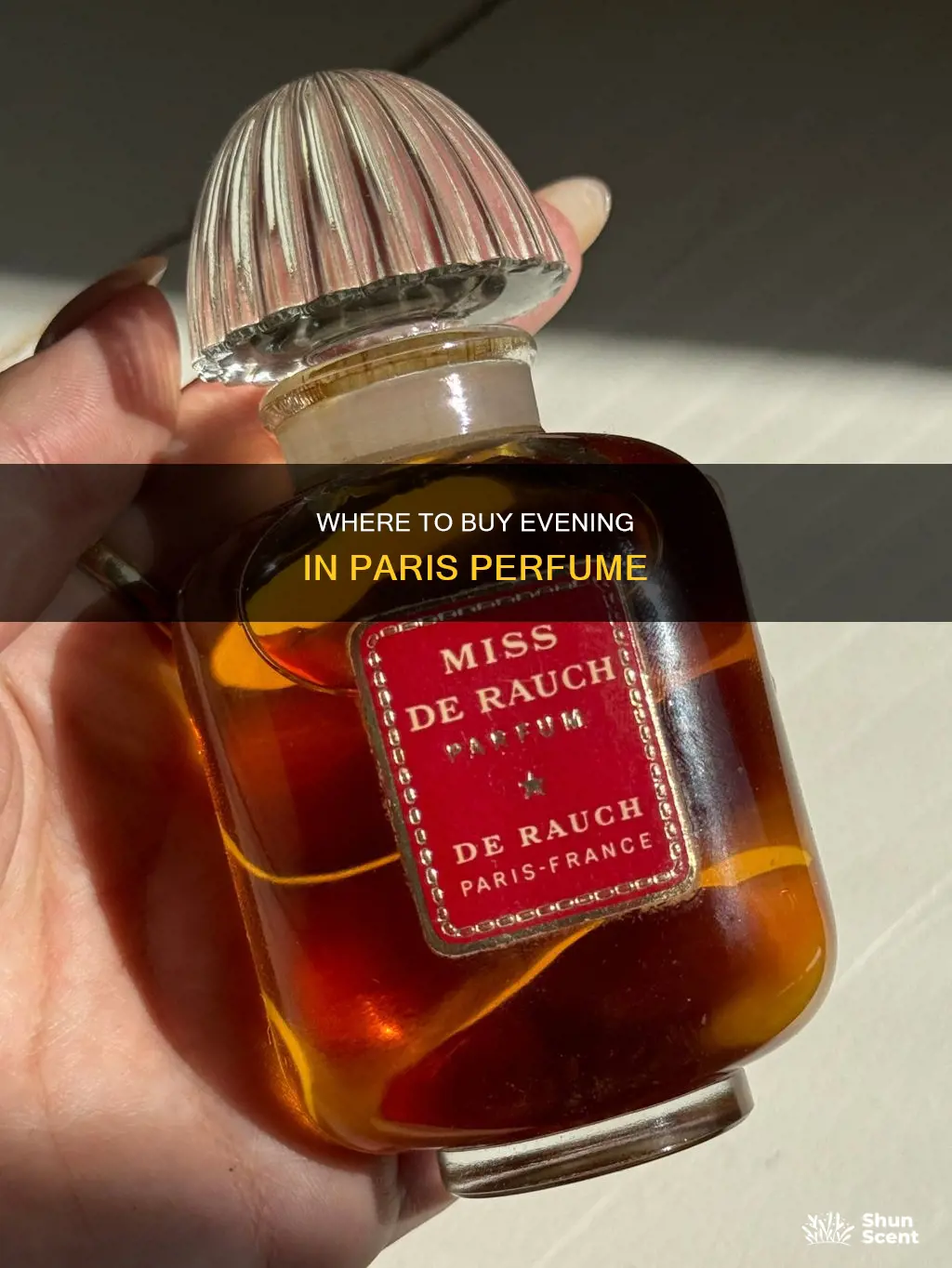 can you still buy evening in paris perfume