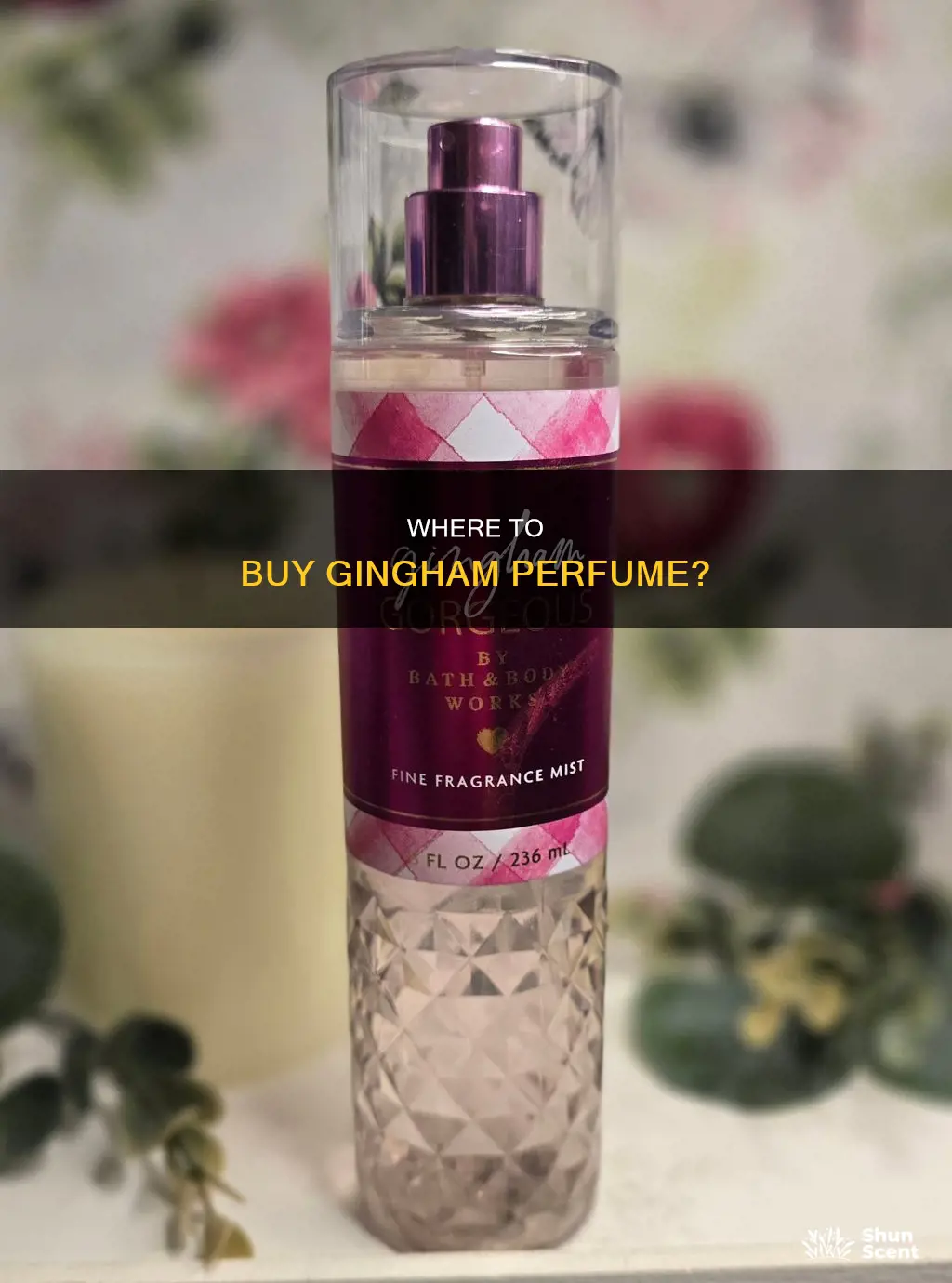 can you still buy gingham perfume