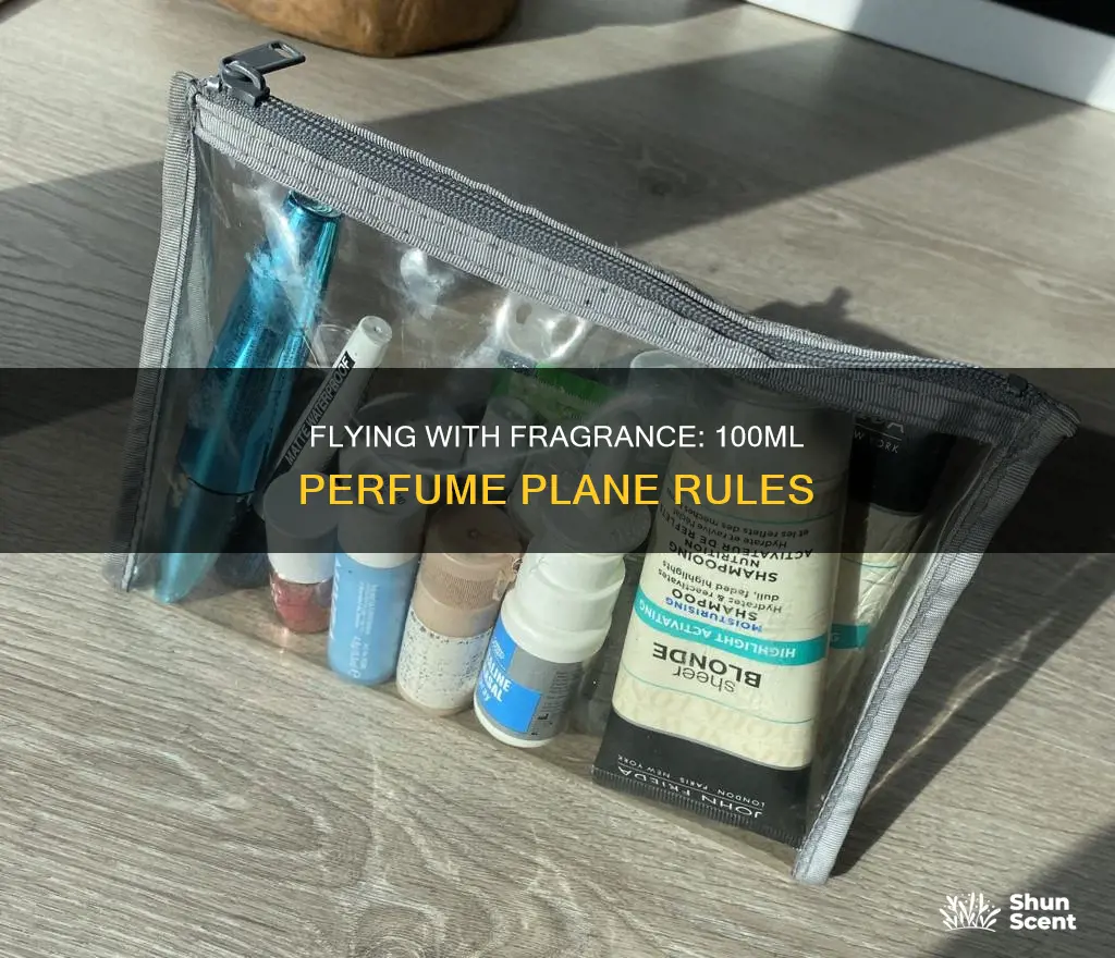 can you take 100 ml perfume on plane