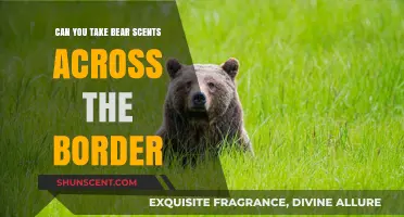 Traveling with Bear Scents: Border Regulations and Restrictions Explained