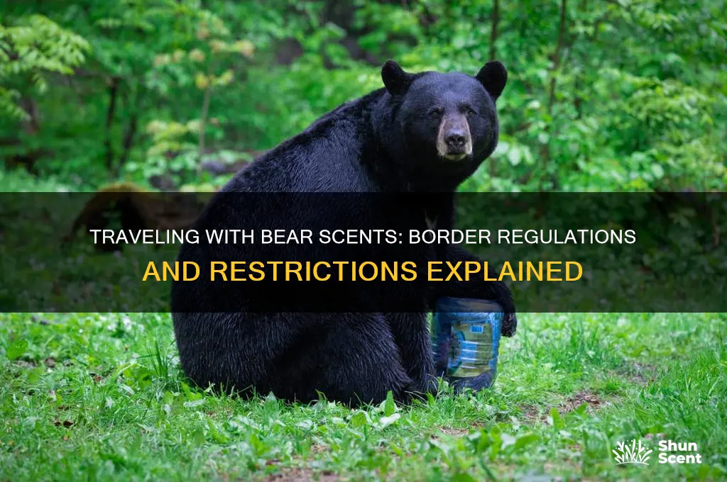 can you take bear scents across the border