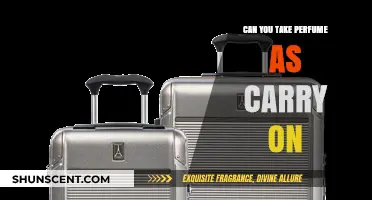Traveling with Perfume: Carry-On Baggage Rules
