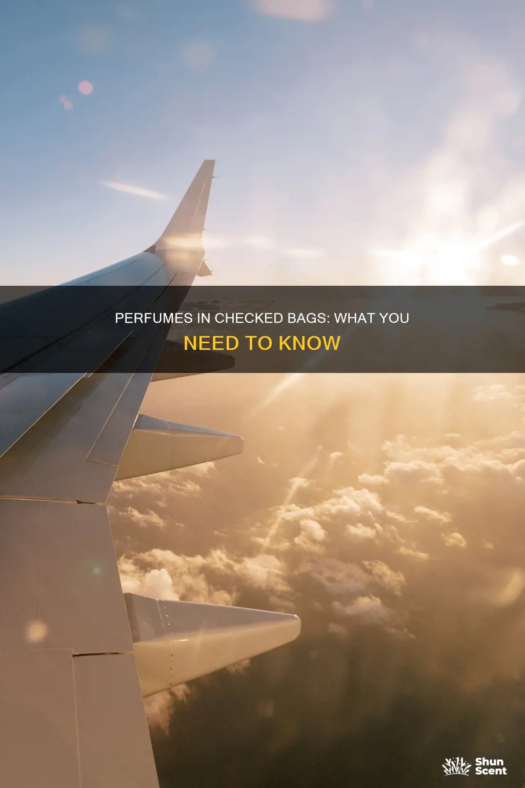 can you take perfume on a plane in your suitcase