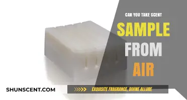 Capturing Scents from Thin Air: Is Air Sampling Possible?