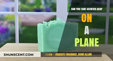 Can Scented Soaps Fly? TSA Rules for Packing Soap on Planes