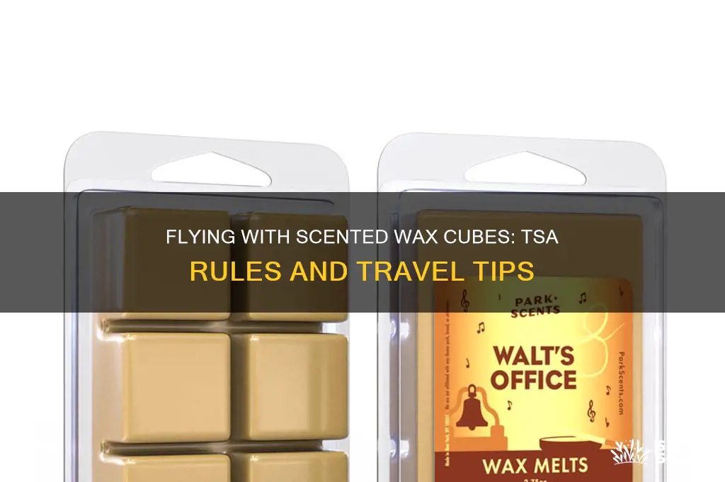 can you take scented wax cubes on a plane