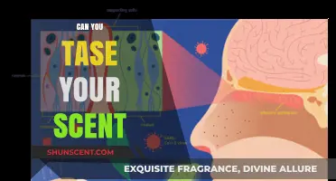 Can You Taste Your Scent? Exploring the Science of Smell and Flavor