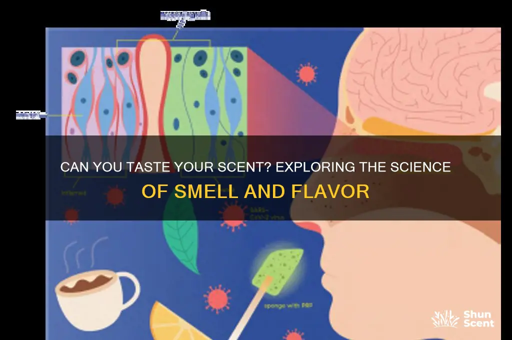 can you tase your scent