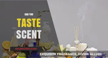 Exploring the Intriguing Connection Between Taste and Scent Perception