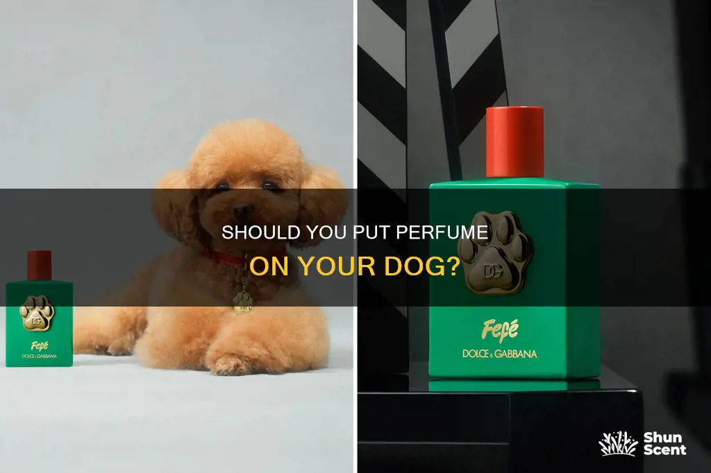 can you temporarily put perfume on a dog
