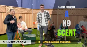 Can You Evade a K9's Scent Tracking Abilities Effectively?