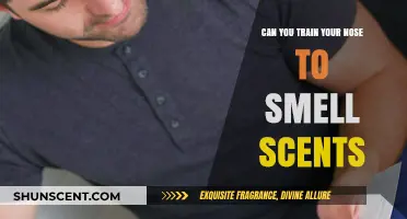 Training Your Nose: Enhancing Scent Detection and Olfactory Skills