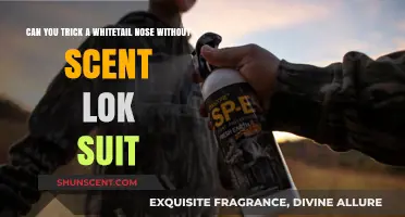 Outsmarting Whitetail Noses: Effective Alternatives to Scent Lok Suits