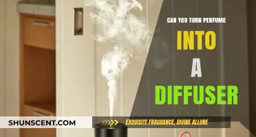 Transforming Perfume into a Diffuser: Is It Possible?