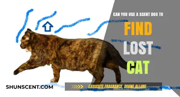 Using Scent Dogs to Locate Missing Cats: Effective Search Strategy?