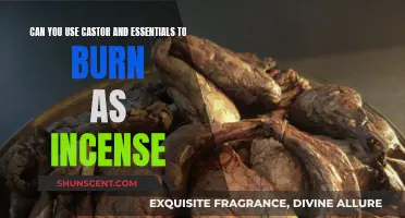 Castor and Essentials: Safe Incense Burn?