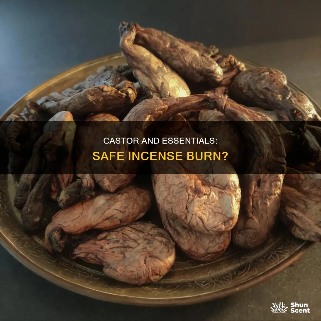 can you use castor and essentials to burn as incense